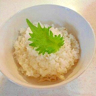 ヘルシー　さっぱり　鶏めし